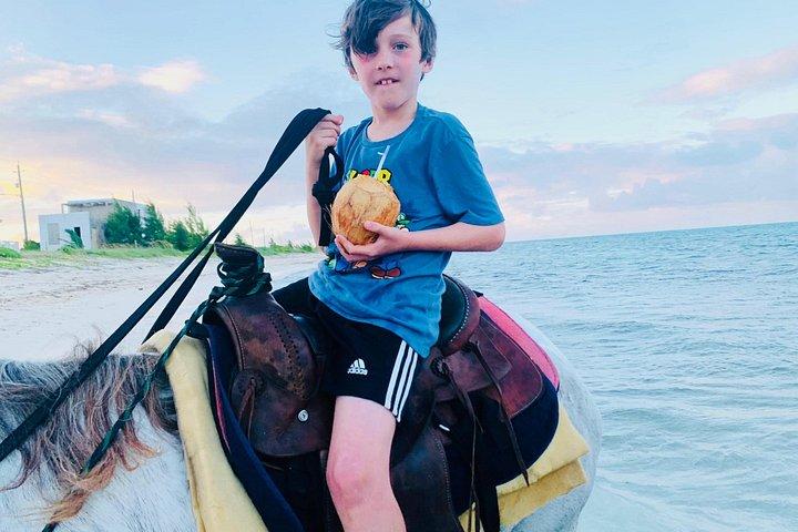 Shared Horseback Riding in Turks and Caicos