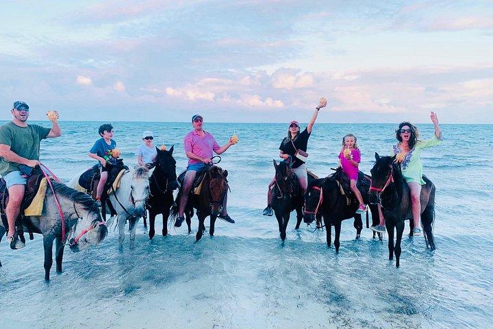 Caicos Islands Beach Horseback Riding Small-Group Tour