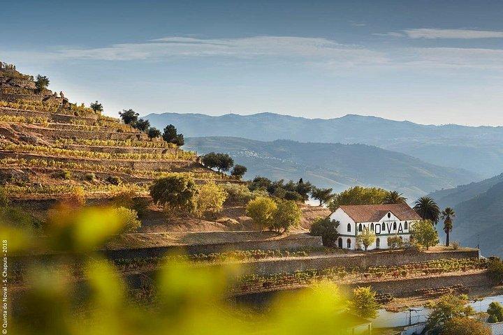 Douro Valley Private — ランドローバー・アクセス、エステート＆ワイン