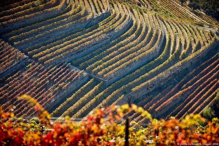 Douro Valley Private — ランドローバー・アクセス、エステート＆ワイン