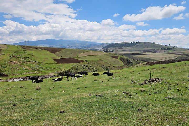 2 night 3 Days Bale Mountains Scenic Driving Tour