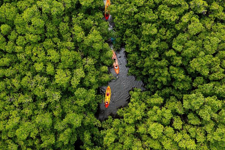 SoCoHo Eco Kayak et plongée avec tuba