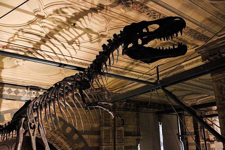 ファミリーフレンドリー自然史博物館ロンドンプライベートガイドツアー