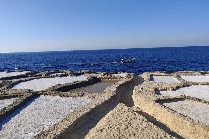 Heldags privat Gozo-tur