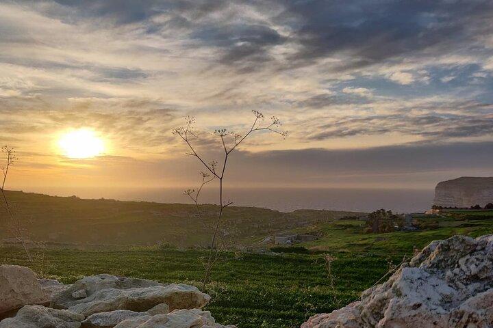 Heldags privat Gozo-tur