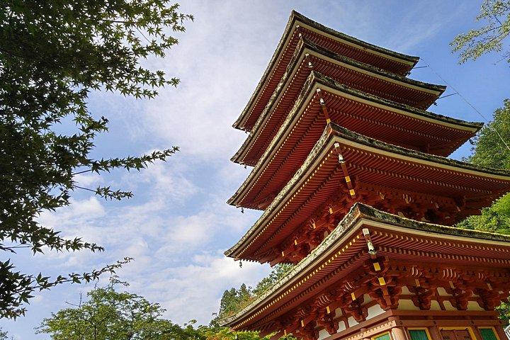 京都長谷寺・室生寺からゆったり奈良観光