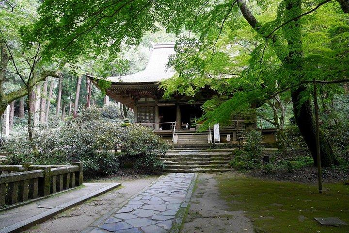 京都長谷寺・室生寺からゆったり奈良観光