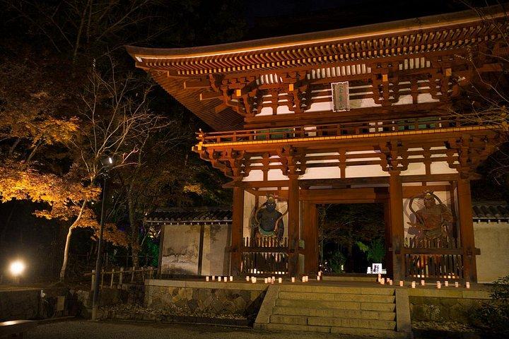 京都長谷寺・室生寺からゆったり奈良観光