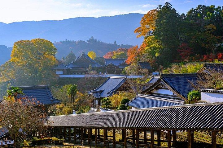 京都長谷寺・室生寺からゆったり奈良観光