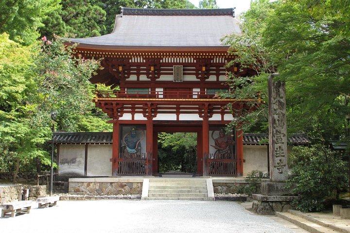 京都長谷寺・室生寺からゆったり奈良観光