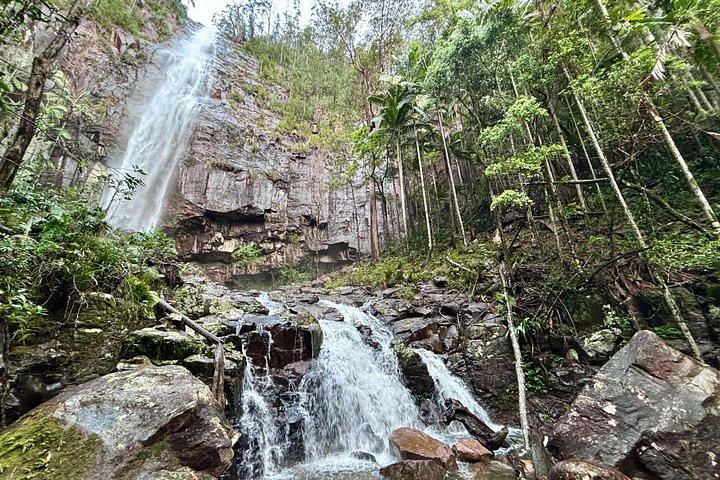 Glow Worms, Waterfalls & Rainforest Experience