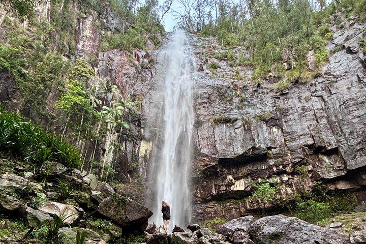 Glow Worms, Waterfalls & Rainforest Experience
