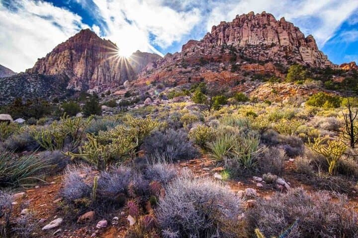 The Ultimate Red Rock Canyon Scenic Experience