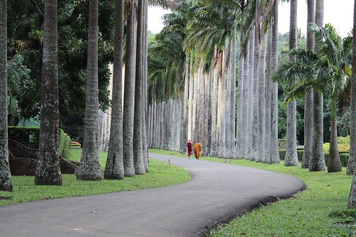 Kandy City Tour door Tuk-Tuk (Privé & All-Inclusive)