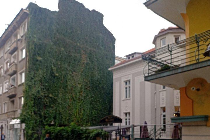 Morning in Sofia: Authentic Breakfast and Cultural Walk