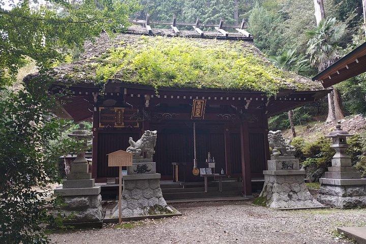 Private Hiking Activity near Tokyo