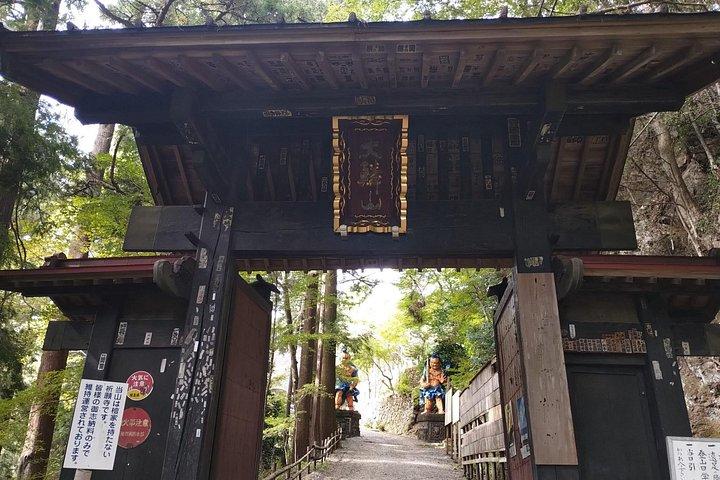 Private Hiking Activity near Tokyo