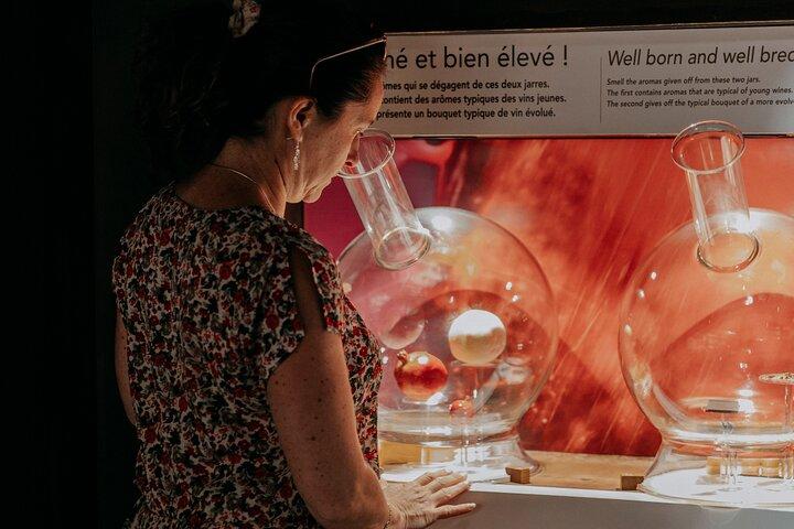 Beaujolais Halve dag wijnproeverij