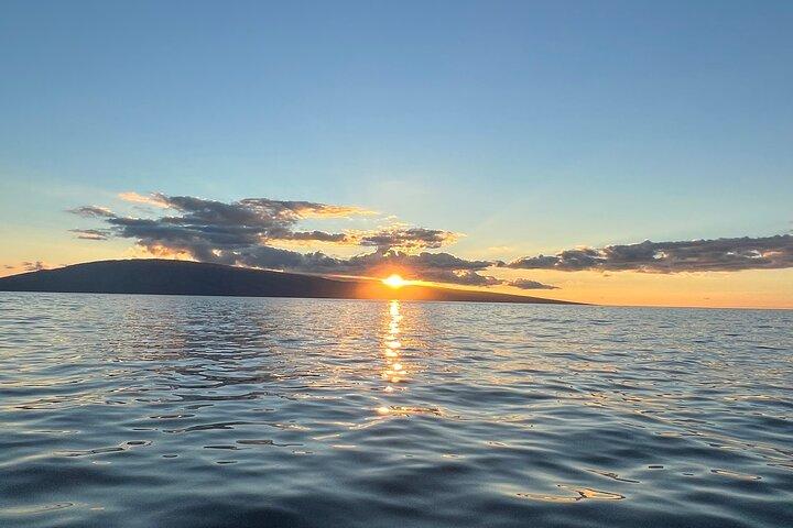 Avaliações de Sunset Whale Watch