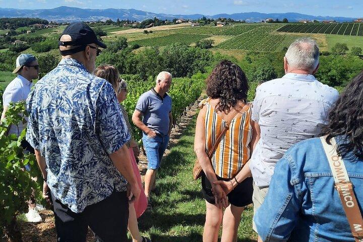 Visite du Beaujolais aux pierres dorées avec dégustations de Lyon
