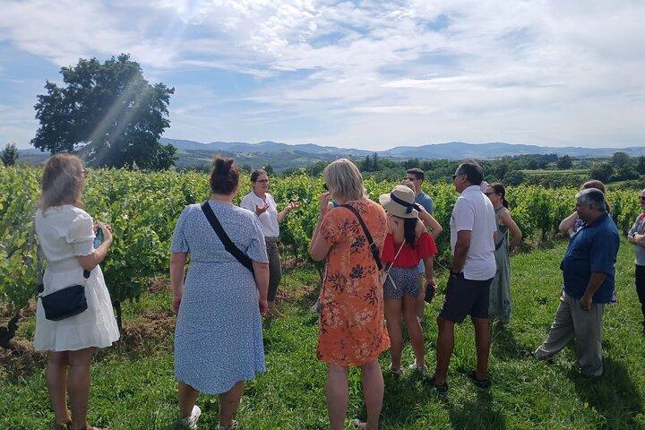Visite du Beaujolais aux pierres dorées avec dégustations de Lyon