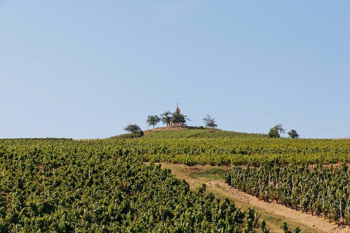 Visite 100 % viticole du Beaujolais Visite Privée avec Dégustation