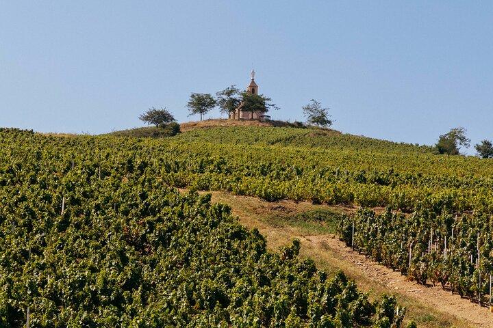 Excursion privée d'une journée dans le Beaujolais avec dégustations au départ de Lyon