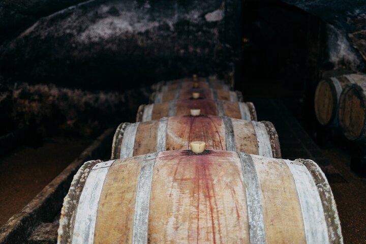 Excursion privée d'une journée dans le Beaujolais avec dégustations au départ de Lyon