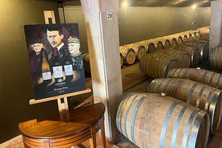 Visite guidée des vignobles du Cap Stellenbosch et Franschhoek
