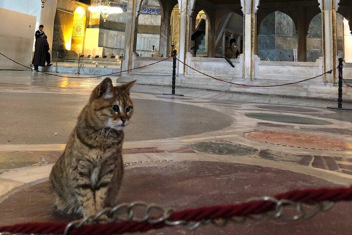 Guided Tour to Hagiasophia