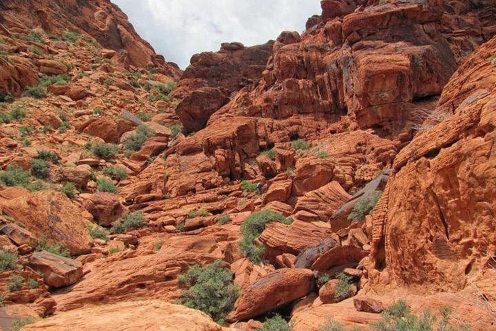 The Ultimate Red Rock Canyon Scenic Experience