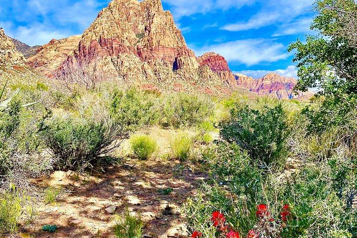 The Ultimate Red Rock Canyon Scenic Experience