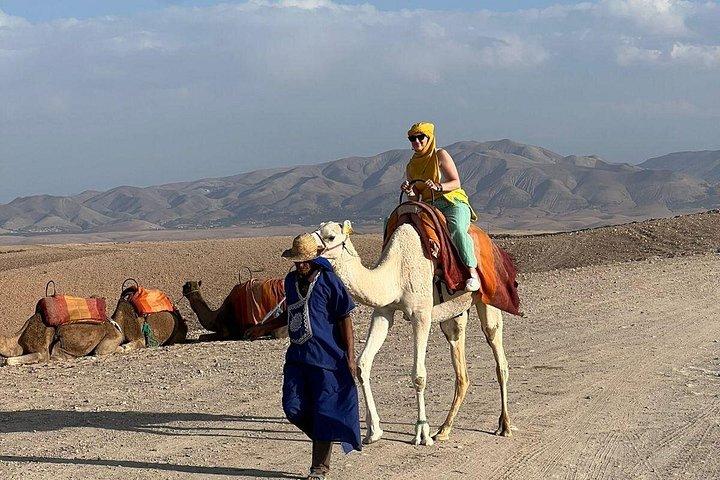 Magische dinershow en kamelritervaring in Agafay