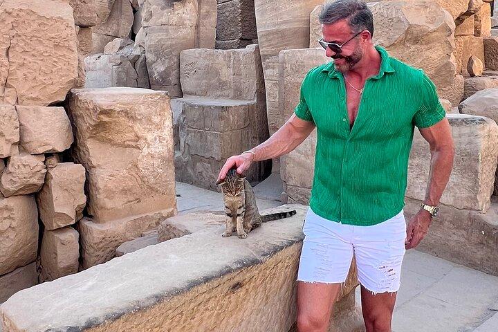 Excursión de un día a Luxor con traslado y guía