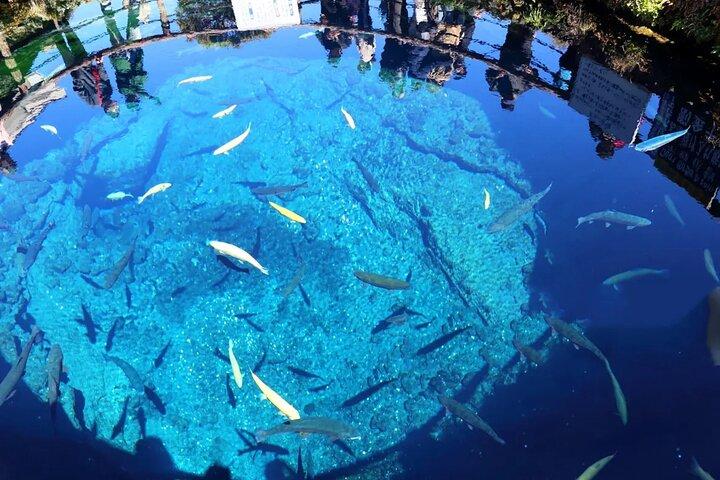 新倉山公園富士山、忍野八海、クラシック富士山ツアー