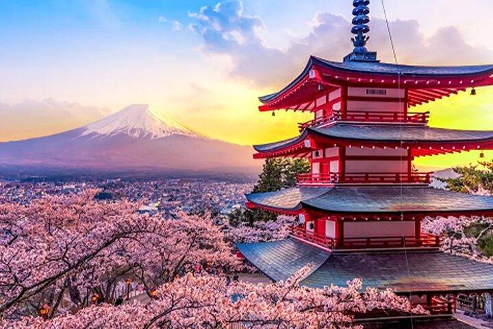 Arakurayama Park Mt. Fuji, Oshino Hakkai, Classic Mt.