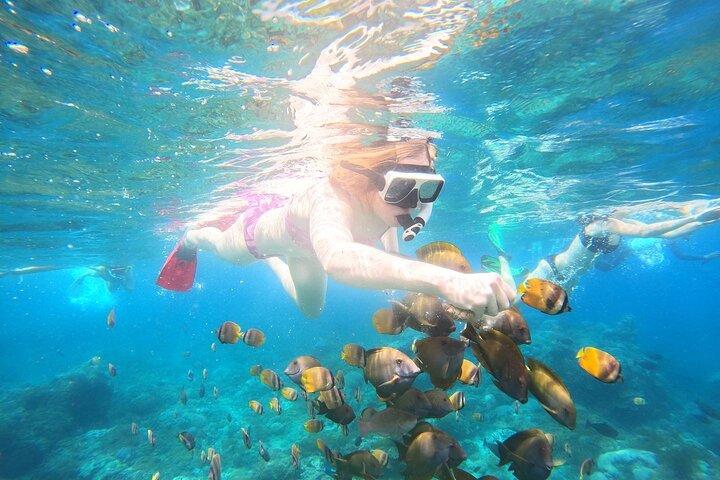 Nusa Penida privat snorkling och västtur Börja från Bali