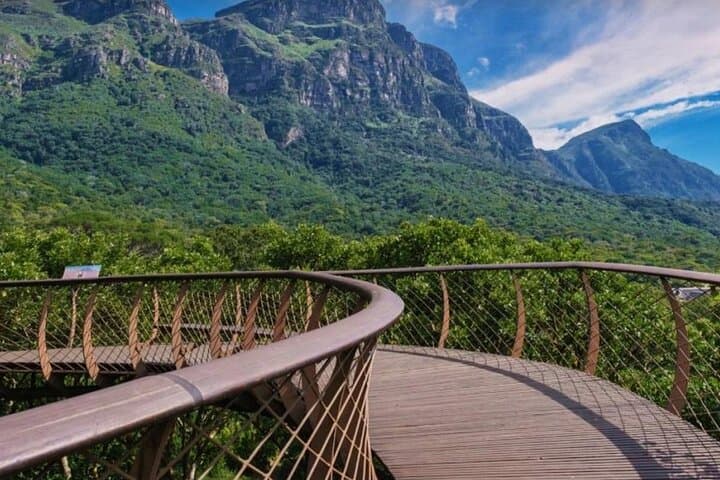 Kirstenbosch Botanical Garden and Table Mountain with Wine Tour