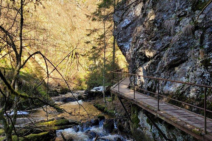 Black Forest: Self-Guided Hike, Ravenna Gorge