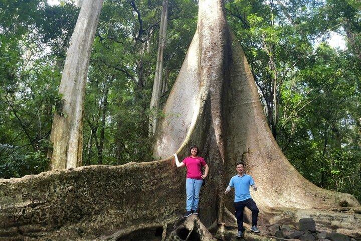 Excursão de 2 dias no Parque Nacional Cat Tien