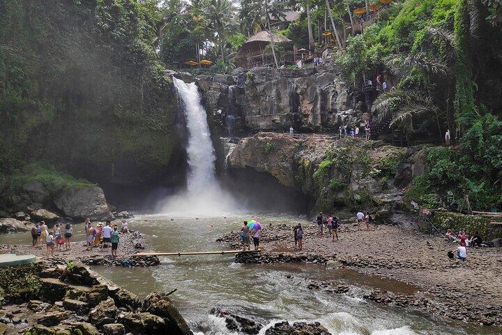Visite privée d'une journée à Ubud