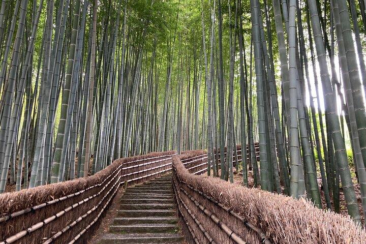 Kyoto privé avec guide exceptionnel adapté à vos besoins