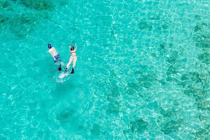 Demi-journée Île d'Icacos avec transport aller-retour depuis San Juan