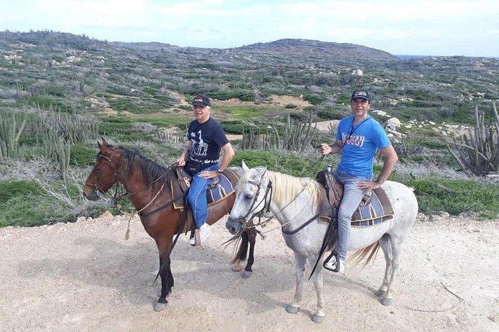 Aruba Horseback Riding Tour For Advanced Riders