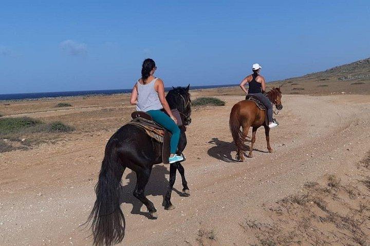 Aruba Horseback Riding Tour For Advanced Riders