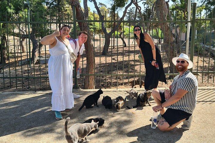 アクロポリスとティシオの猫たちプライベートツアー