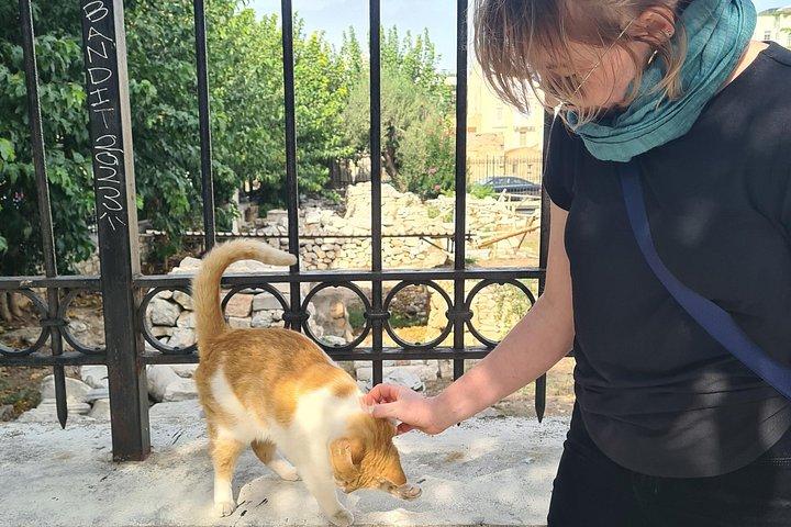 アクロポリスとティシオの猫たちプライベートツアー