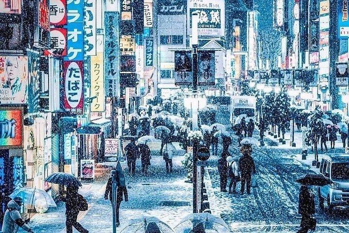 東京プライベートツアー：英語ドライバー付きカスタム日帰りツアー