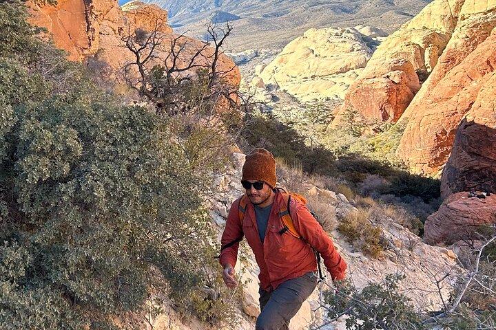 Attività simili a Red Rock Canyon