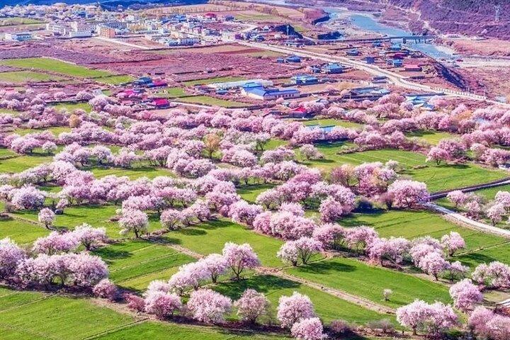 13 dage Nyingchi Peach Blossom Festival tur